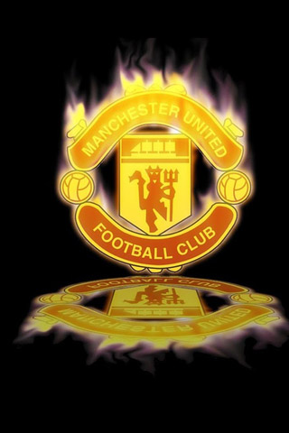 在爭冠的球 在爭冠的球